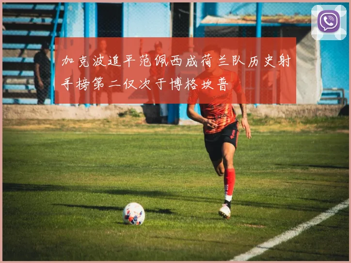加克波追平范佩西成荷兰队历史射手榜第二仅次于博格坎普